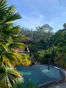 uma piscina no meio de um jardim com árvores em The Lumbung Jaya by Uniquecations em Tegalalang
