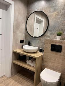 a bathroom with a sink and a mirror on the wall at Apartament Alan in Ustrzyki Dolne