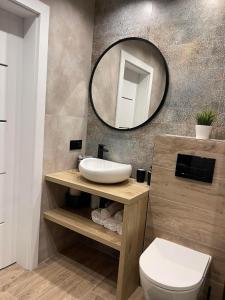 bagno con lavandino e specchio a parete di Apartament Alan a Ustrzyki Dolne