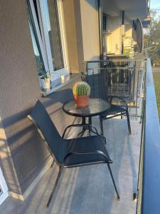 a table and chairs on a balcony with a potted plant at Apartament Alan in Ustrzyki Dolne