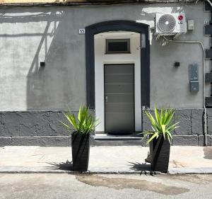 two plants in front of a building with a door at Chimera House in Catania