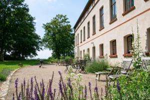 a garden with purple flowers next to a building at Gutshaus Zarchlin in Zarchlin