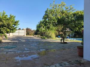 une allée vide avec un arbre et une piscine dans l'établissement Chalet Brisas del Mar, à Chiclana de la Frontera