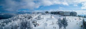 Stroll to Slopes, Village Area, Ski in-out MtLodge 294 talvel
