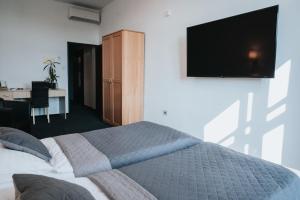 Televízia a/alebo spoločenská miestnosť v ubytovaní Hotel Centrum