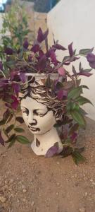 a statue of a head with purple flowers on it at Rahat Ev in Bodrum City