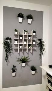 a wall with white shelves with potted plants on it at ROMA HOME in Trento
