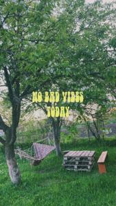 a sign that says no bad vibes today next to two trees at Lileo in Tsalka