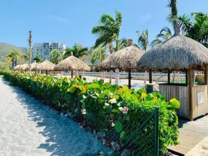 a row of straw umbrellas and plants on a beach at Club de Playa Samaria - T1 APTO 1705, Santamarta in Santa Marta
