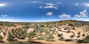 eine Luftansicht eines Resorts mit Bäumen und einer Straße in der Unterkunft Agriturismo IL VECCHIO OLIVO in Castagneto Carducci