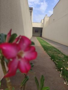a pink flower in front of a building at Recanto Aconchego in Rio Verde