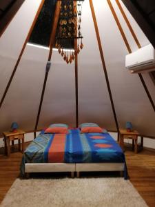 a bedroom with a bed in a attic at Insolite Arawakane Gîtes du Manial in Pointe-Noire