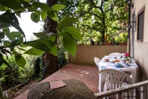 A garden outside Casa Marylou