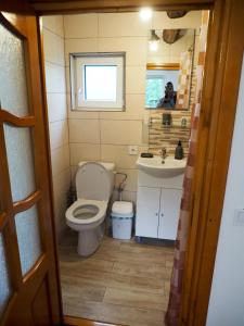 een kleine badkamer met een toilet en een wastafel bij Wild-Traditional Bucovina in Câmpulung Moldovenesc