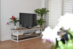 un salon avec une télévision à écran plat sur une table dans l'établissement Spectacular Apartment 8 pax/4 rooms & Free Parking, à Malaga