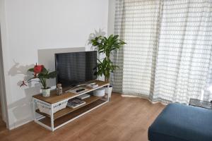 - un salon avec une télévision sur une table ornée de plantes dans l'établissement Spectacular Apartment 8 pax/4 rooms & Free Parking, à Malaga