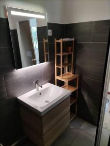 a bathroom with a sink and a mirror at Studio entre lac de Monteynard et Gresse-en-Vercors in Monestier-de-Clermont