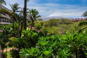 a view from the balcony of a resort with palm trees at Maui Banyan H311 1BD 2BA 3 min walk to the beach in the Heart of South Kihei! in Wailea