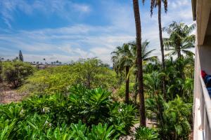 a view of the jungle from a house with palm trees at Maui Banyan H311 1BD 2BA 3 min walk to the beach in the Heart of South Kihei! in Wailea