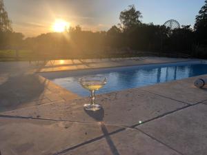 - un verre de vin assis sur une table à côté de la piscine dans l'établissement Domaine de la Bellière, à Villars-les-Dombes