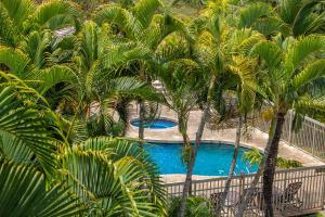 an overhead view of a swimming pool with palm trees at Maui Banyan H311 1BD 2BA 3 min walk to the beach in the Heart of South Kihei! in Wailea