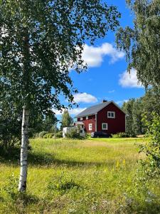 un fienile rosso in un campo con un albero di ,,Björklunda" cozy apartment in swedish lapland a Lycksele