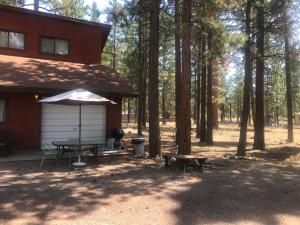 a picnic table and an umbrella in front of a cabin at Cheerful 2-Bedroom Cottage Near Eagle Lake in Susanville