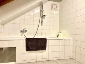 Koupelna v ubytování Klimatisiertes, Ruhiges Dachgeschoß CityApartment im Zentrum Wiens + 96 fotografií