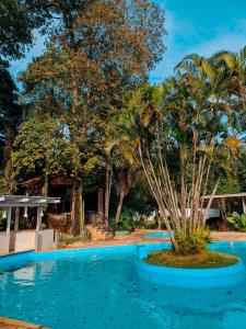 una piscina con una palma al centro di Suíça Hotel by Nordic a Foz do Iguaçu