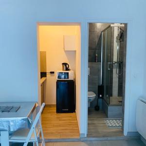 a bathroom with a shower and a microwave on a refrigerator at Studio indépendant sur propriété avec piscine partagée in Biscarrosse