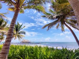 uma praia com palmeiras e o oceano em Tradewinds Paradise Villas em San Pedro