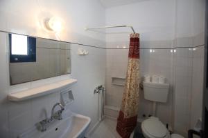 La salle de bains est pourvue d'un lavabo, de toilettes et d'un miroir. dans l'établissement St George Studios & Apartments, à Batsi