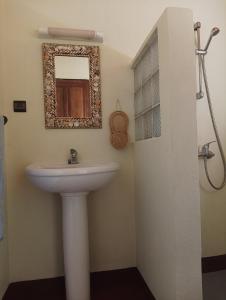 a bathroom with a sink and a mirror at La Tiaré île aux Nattes in Sainte Marie