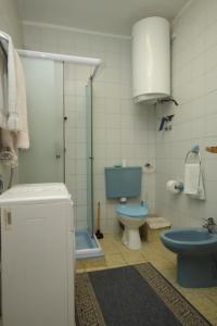 a bathroom with a blue toilet and a shower at Apartments with a parking space Pula - 7681 in Pula