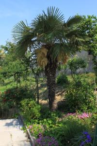Fotografie z fotogalerie ubytování Apartments with a parking space Krbune, Central Istria - Sredisnja Istra - 7670 v destinaci Krbune