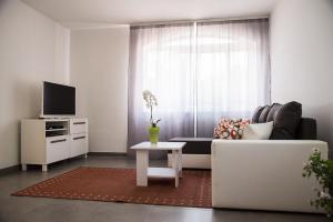a living room with a couch and a tv at Apartments with a parking space Opric, Opatija - 7726 in Opric