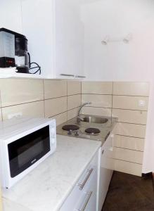 Η κουζίνα ή μικρή κουζίνα στο Studio Moscenice 7689c +11 φωτογραφίες