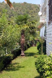 Zahrada ubytování Apartments with a parking space Rabac, Labin - 7660