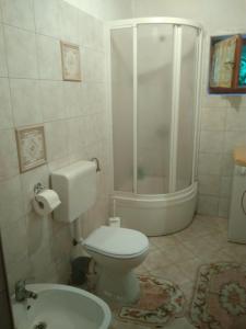 a bathroom with a shower and a toilet and a sink at Apartments with a parking space Cunski, Losinj - 8010 in Cunski