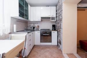 Kuchyňa alebo kuchynka v ubytovaní Apartments with WiFi Rijeka - 7825