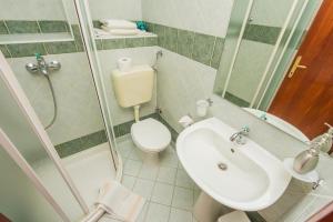 a bathroom with a sink and a toilet and a shower at Apartments and rooms by the sea Moscenicka Draga, Opatija - 7767 in Mošćenička Draga