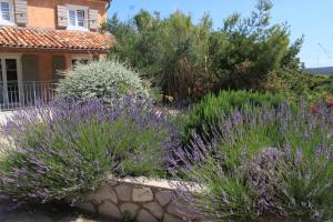 Zahrada ubytování Holiday house with a parking space Nerezine, Losinj - 8016