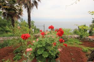 Fotografie z fotogalerie ubytování Apartments by the sea Medveja, Opatija - 7852 v destinaci Lovran