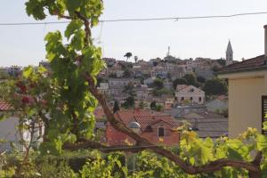 Fotografie z fotogalerie ubytování Apartment Mali Losinj 7991b v destinaci Mali Lošinj