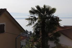 Zdjęcie z galerii obiektu Apartments with a parking space Opatija - 7831 w mieście Opatija