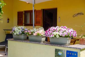 Vonkajšia záhrada v ubytovaní Apartments by the sea Artatore, Losinj - 7952