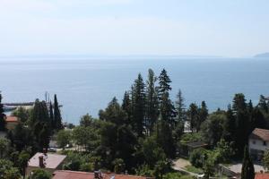 Fotografie z fotogalerie ubytování Apartments with a parking space Icici, Opatija - 7793 v destinaci Ičići