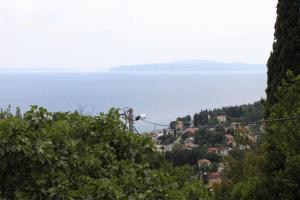 Fotografie z fotogalerie ubytování Apartments with a parking space Icici, Opatija - 7822 v destinaci Ičići