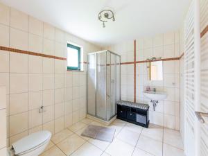a bathroom with a shower and a toilet and a sink at Comfortable apartment in Eisfeld with bicycle storage in Eisfeld