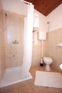 a bathroom with a shower and a toilet and a tub at Apartments with a parking space Artatore, Losinj - 7938 in Čunski